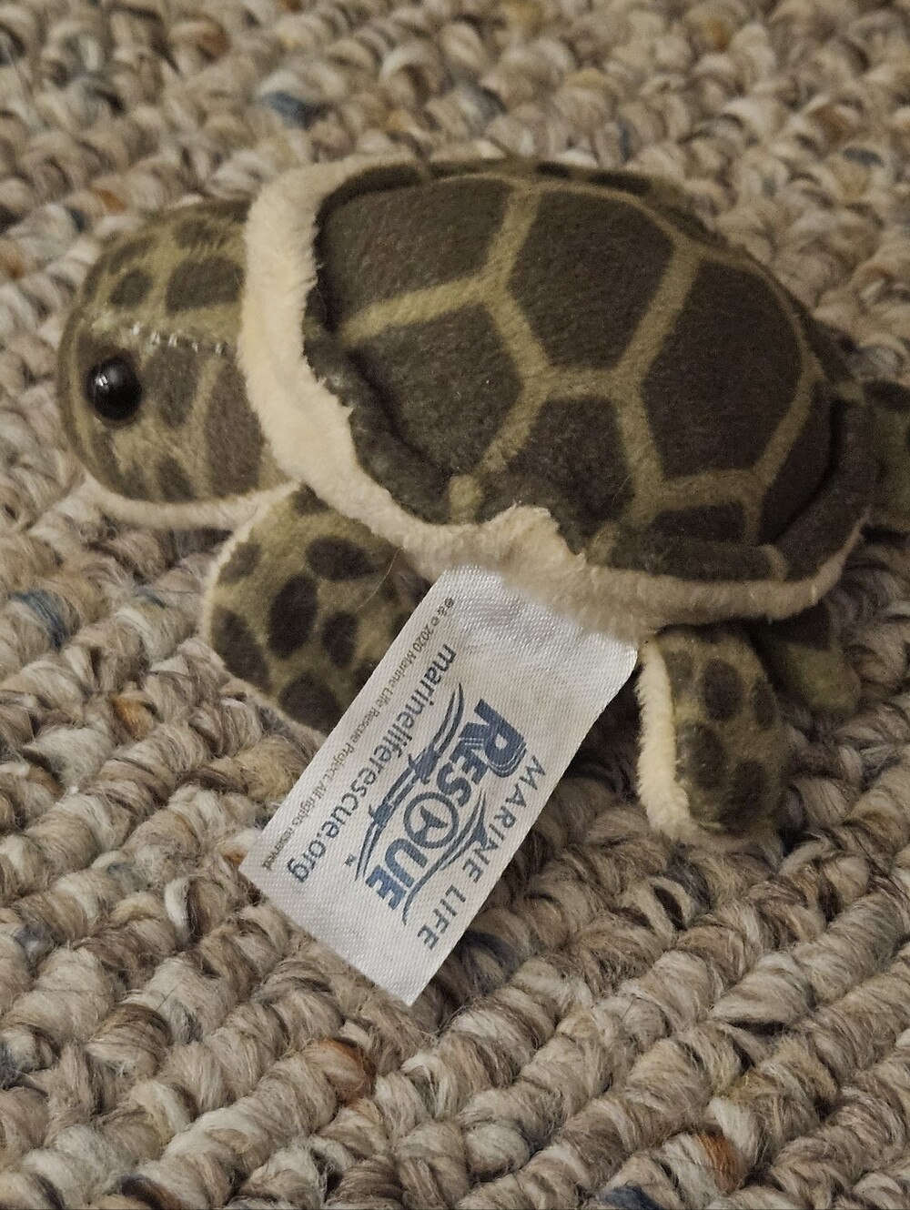 Marine Life Rescue Turtle - Picture 3 of 6